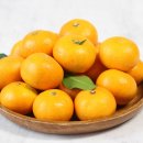 소정농장 이미지