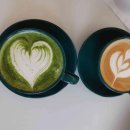 형제가축수정 이미지