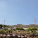 큰고을농원 이미지