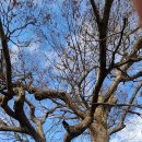 천반산길 이미지