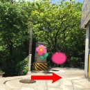 남경공인중개사사무소 이미지