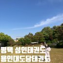 용인대 비전태권도장 | 평택 성인태권도 : 내돈내산