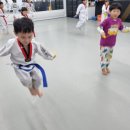 국가대표 최강 태권도장 이미지