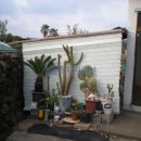 상모리-14 이미지