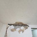 국제열쇠공사 | 부산 당감동 국제프라자 아파트 철거 중 누수발견