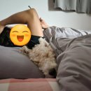 무럭무럭(주) 이미지