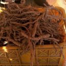 국산1로 이미지