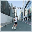 대학공원1 | 삿포로 러닝하기 좋은 곳 추천 오도리 공원 &amp; 홋카이도 대학 러닝코스 후기