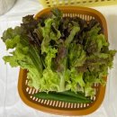 대구광역시동구청 | 대구 동구청 맛집 쫄깃하고 촉촉한 윤가네 족발