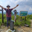 지장산 Daum카페