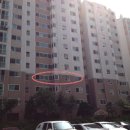 금화로82번길 이미지