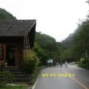 홍주보신탕 Daum카페