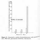 카마그래프