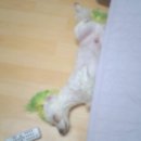 수일초등학교 이미지