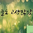 토다기 이미지