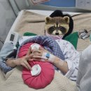 선한목자병원 | 제대혈 줄기세포 이식수술 후기 2화 (전지적 간병인 시점) + 선한목자병원 1인실 시설