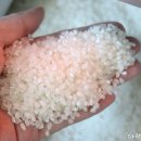 봉학농장 이미지