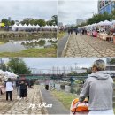 대동천 | 대전빵축제 다녀온 뒤늦은 후기
