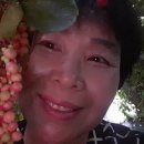 명산농장 이미지