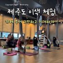 힐링요가&폼롤러반 | 제주도 요가 숙소 여행 제주 겨울 이색 체험 쁘램요가