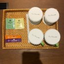 에코랜드 수영장 2층 | 제주 5성급 호텔 추천 | 가성비와 가심비 둘 다 갖춘 "에코랜드" 수영장 솔직 후기