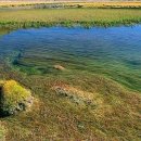 은혜동산 이미지