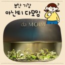 유재홍스시바다소리 | [부산 기장] 아난티 다모임 뷔페 n번째 방문 후기 / 꿀팁 챙겨가세요!