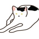 두루동물병원 이미지