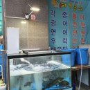 어사출또 하남시청점 | 하남시청 맛집 &lt;어사출또&gt; 가성비 좋은 횟집! 광어 우럭 연어가 만원?! 만원의 행복