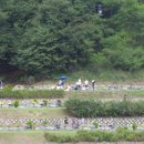 못말낚시터 이미지