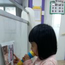 병운 농장 Daum카페