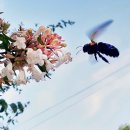 동춘당로 이미지