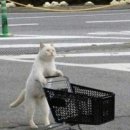 조아약국 | [인천 서구]청라 연중무휴 창고형 약국 오픈 방문 후기