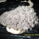 원규농장 이미지