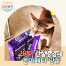 본아페티 | 노령묘 집사라면 이건 꼭 챙기세요! 고양이 관절 영양제 츄르 본아페티 링츄 급여 후기