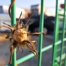 브레이크타임 이미지