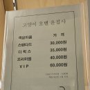 고양이호텔 윤집사 이미지