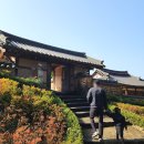 금시당유원지 화장실 | 대구근교 밀양 금시당백곡재 은행나무 11월 9일 방문후기