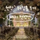 주식회사 티웨딩(신관) | 천안 웨딩홀 투어 1 - 베리 컨벤션 웨딩홀 2026 하반기 상담, 견적 후기 (계약X)