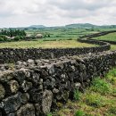 제주돌담 이미지