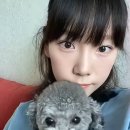 태연라이브 이미지