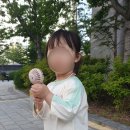 온앤옵 네이버블로그