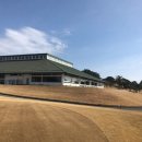 그린온주