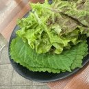 해적해물칼국수