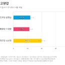 고양갑 마지막 여론조사-유선 20, 심상정 40.1v문명순 24.1vs이경환 22.7/용인정 마지막 여론조사-무선 100, 이탄희 45.3vs김범수 42.6 이미지