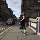 더 엘레펀트 이미지