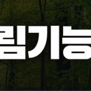 산림기능사 국가기술자격증 이미지