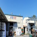 부림상사 이미지