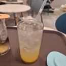 히포코코 이미지