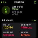 크로스핏 503 이미지